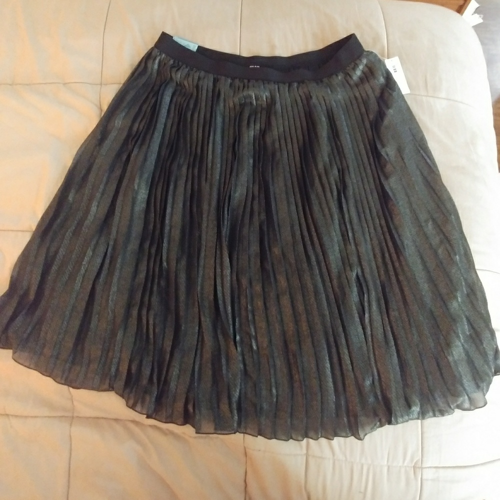 Beauitful skirt! NEW WITH TAG